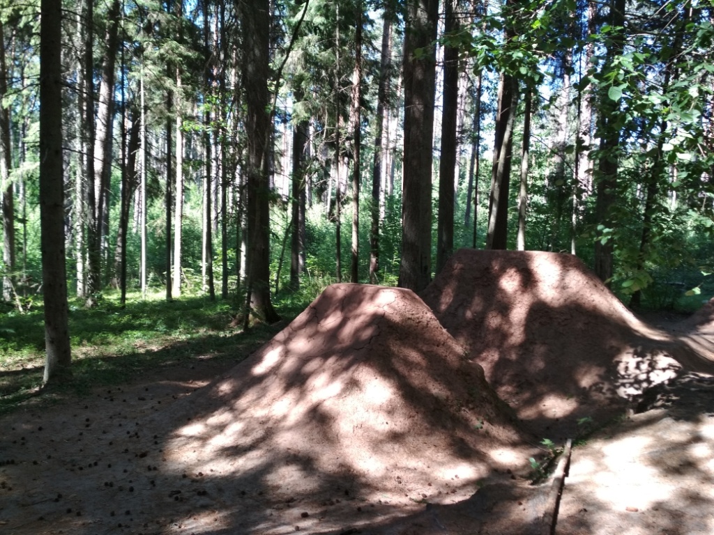 Блог им. Dustman: Даунхил и слоупстайл в дремучем латвийском лесу.