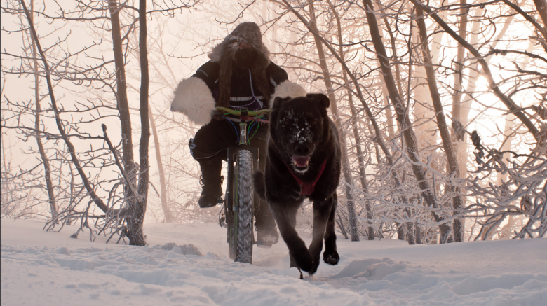 Блог компании Bikesgate: IditaRod. Культовая фэтбайк-гонка на Аляске.