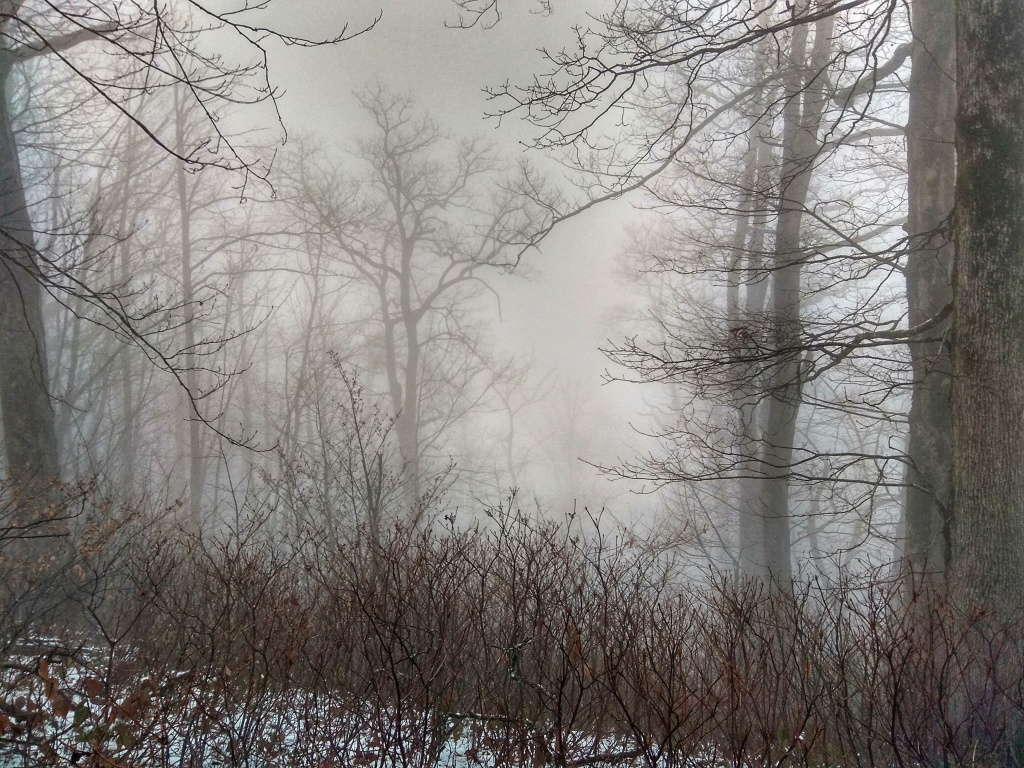 Блог им. ZoozR: Подъем на гору Семеновский шпиль. Из субтропиков в зиму за 2 часа. Сочи.